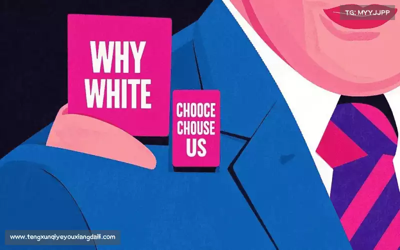 我们的品牌价值